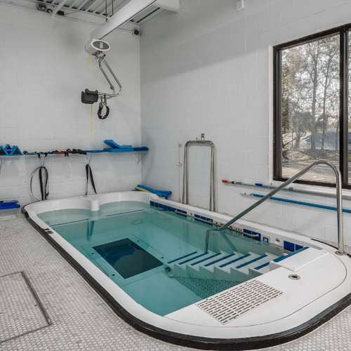 SwimEx Triton Therapy Pool with Underwater Treadmill