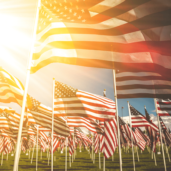 american flags in field